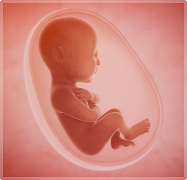 Baby Development - Guadalupe Medical Center