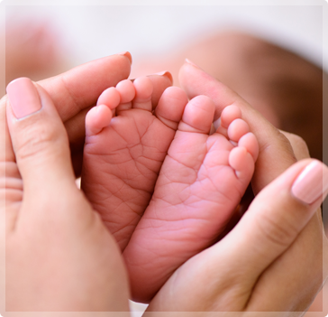 Tubal Ligation Reversal - Guadalupe Medical Center